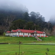 Te Aroha Museum Card