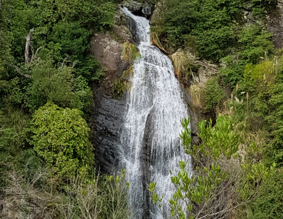 Tui Domain Track and Tutumangao Falls (PARTIALLY CLOSED)