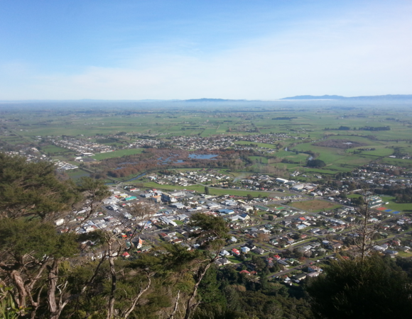 Whakapipi Lookout (also known as Bald Spur track)