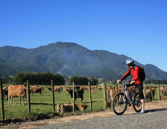 Hauraki Rail Trail