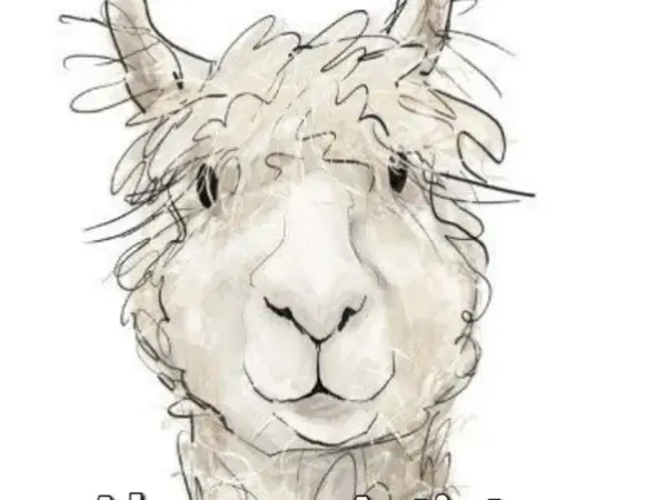 Alpacca Artistry Studio