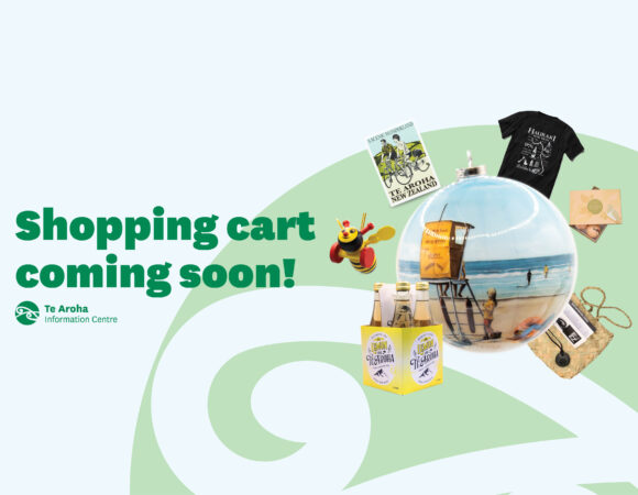 Shopping Cart (Coming soon…)